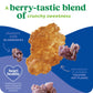 Kashi Breakfast Cereal  Organic  Whole Grain  Blueberry Clusters  17.2oz Box (1 Box)