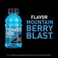 POWERADE Mountain Berry Blast Bottles  12 fl oz  8 Pack