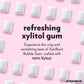 Xyloburst Xylitol Chewing Gum, Sugar Free & Keto Friendly, 500 Count Bag