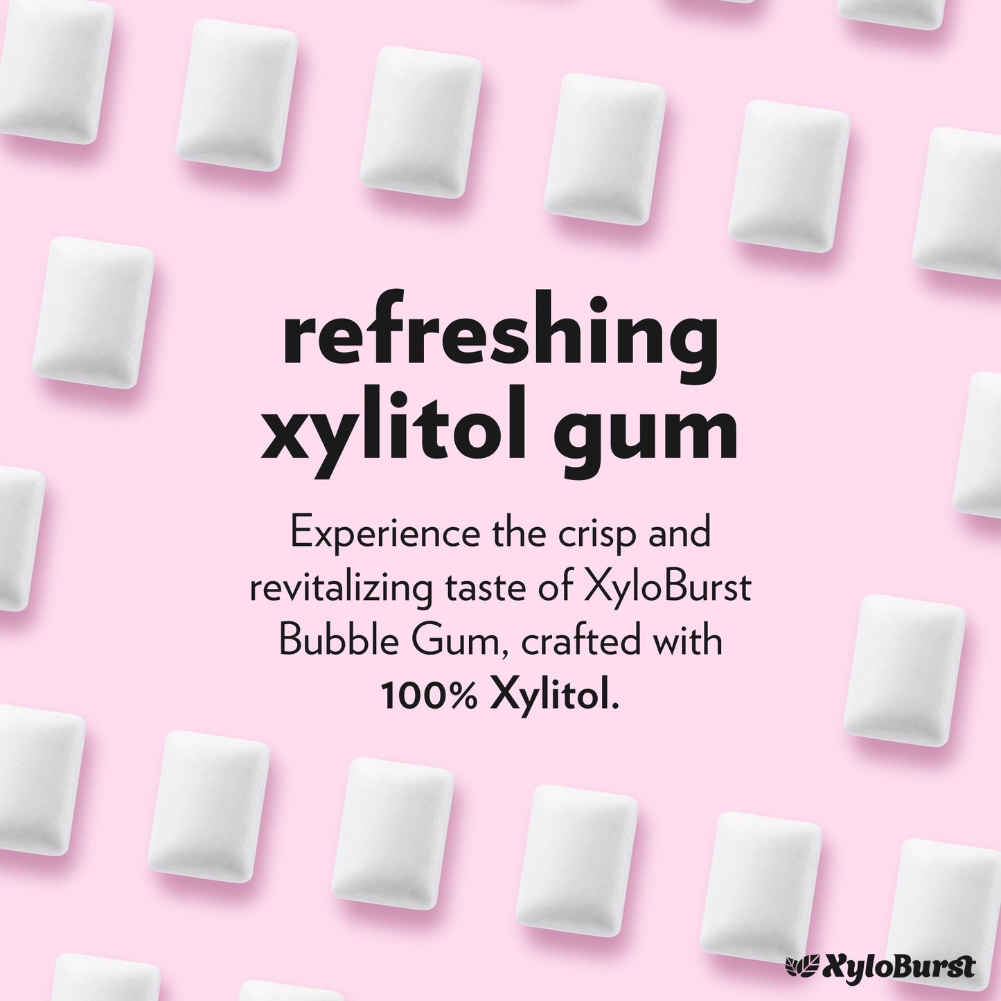 Xyloburst Xylitol Chewing Gum, Sugar Free & Keto Friendly, 500 Count Bag