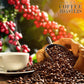 Yaucono, Cafe Crema, And Cafe Rico Ground Coffee From Puerto Rico Variety, 14 Ounce (Pack Of 3)