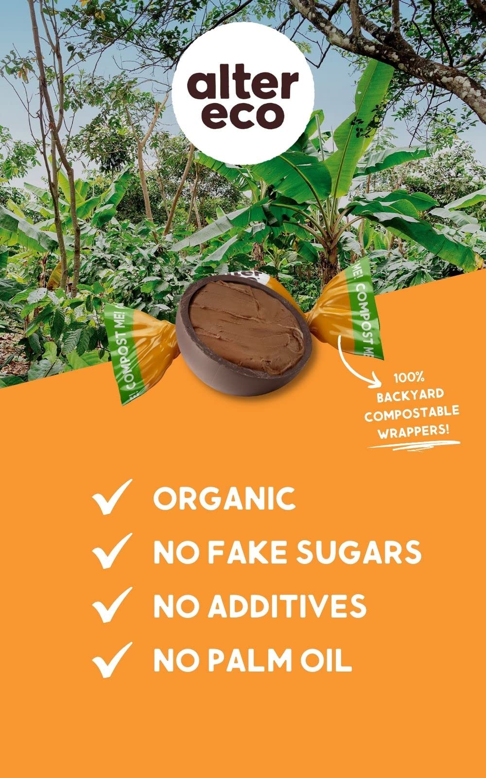 Alter Eco | Dark Chocolate Truffles | Pure Dark Cocoa, Organic Dark Chocolate Truffles, 10 Truffle Bag (Salted Caramel)