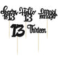 30Pcs 13Th Birthday Cupcake Toppers Hello 13 Cupcake Picks Official Teenager Cheers To 13 Years Old Cake Decorations For 13Th Bi