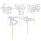 30Pcs 15Th Birthday Cupcake Toppers Fifteen Cupcake Picks Cheers To 15 Years Old Mis Quince 15 Cake Decorations For 15Th Birthda
