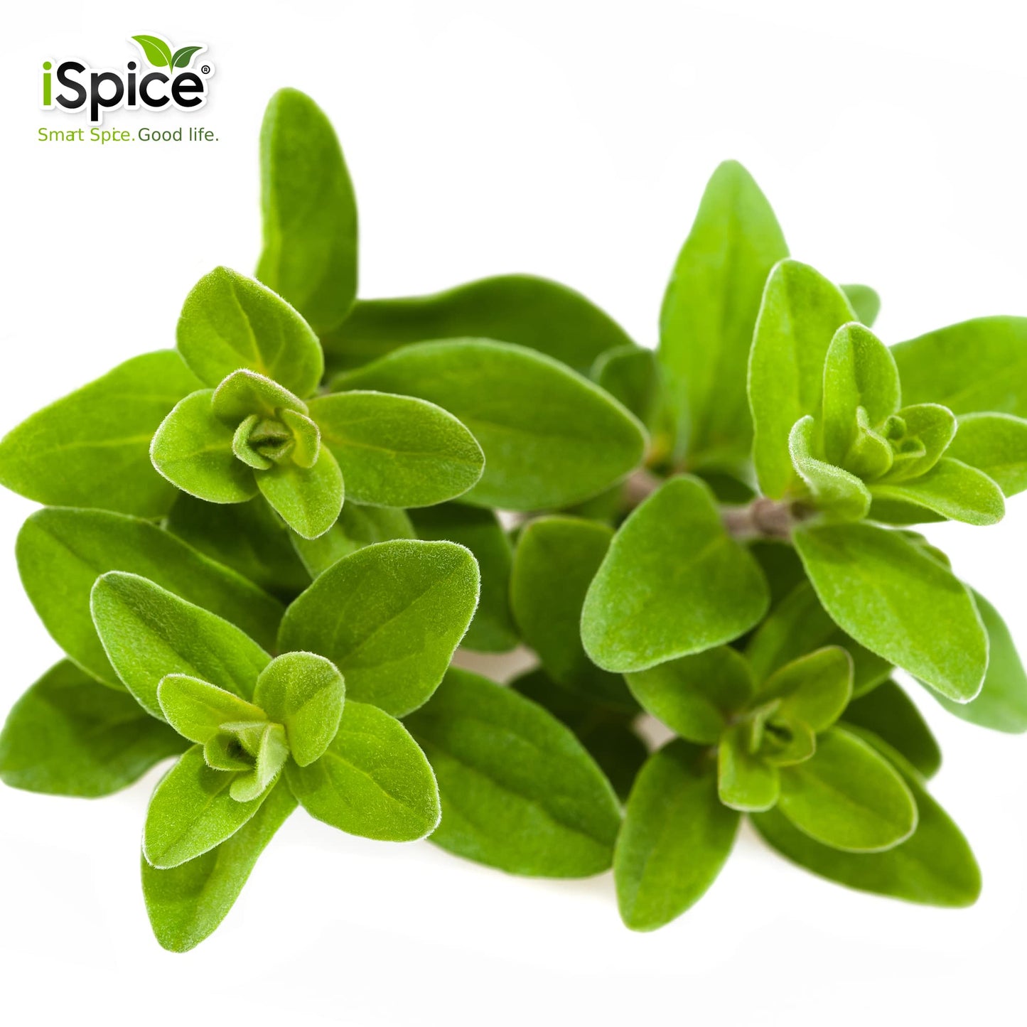 Ispice - Aromatic Marjoram Leaves 1Oz (28G)