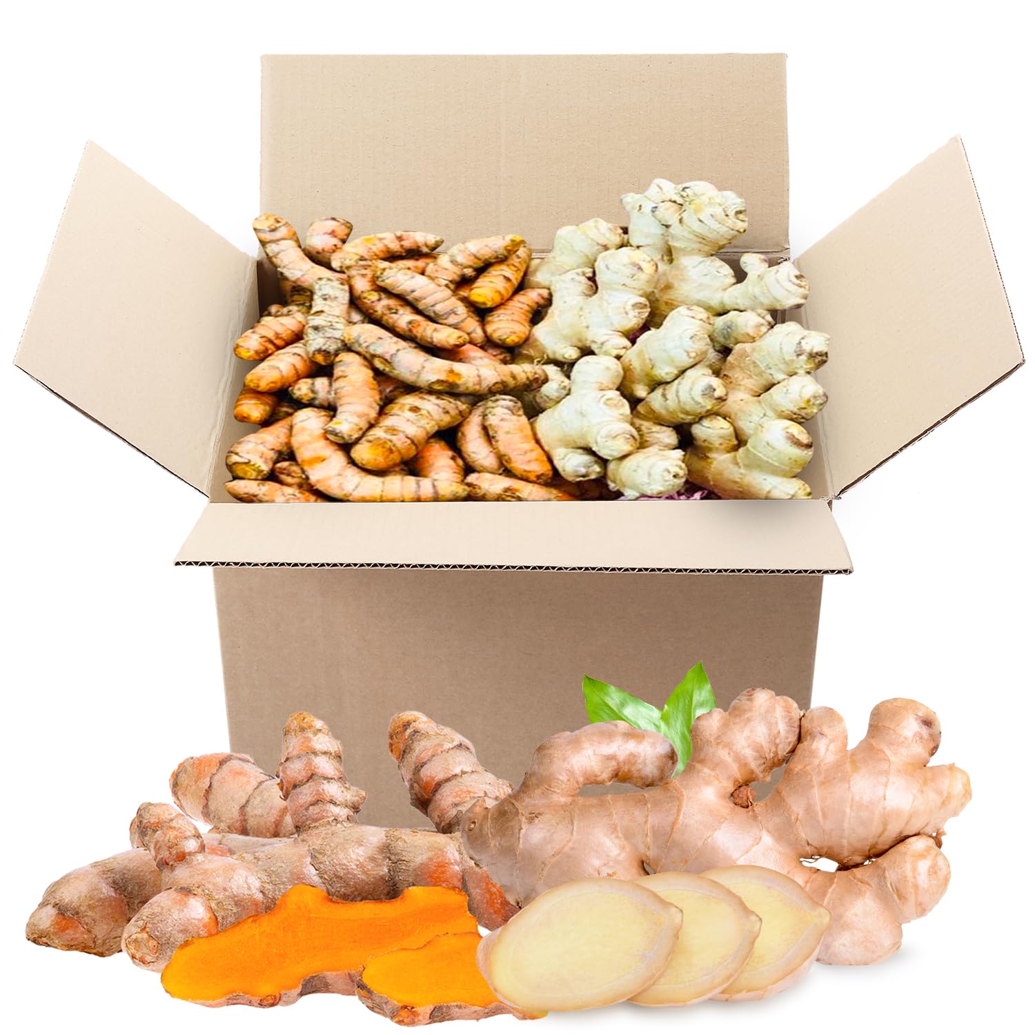 2 Lbs Us Grown (Not From Fiji!) Organic Turmeric Ginger Root Blend Box (1 Lb Us Grown Turmeric Fresh + 1 Lb Peruvian Ginger Fres