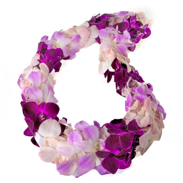 Misteen Gorgeous Orchids: Long-lasting leis made of fresh cut purple, lavender, and pink orchids, for graduations, party decorat