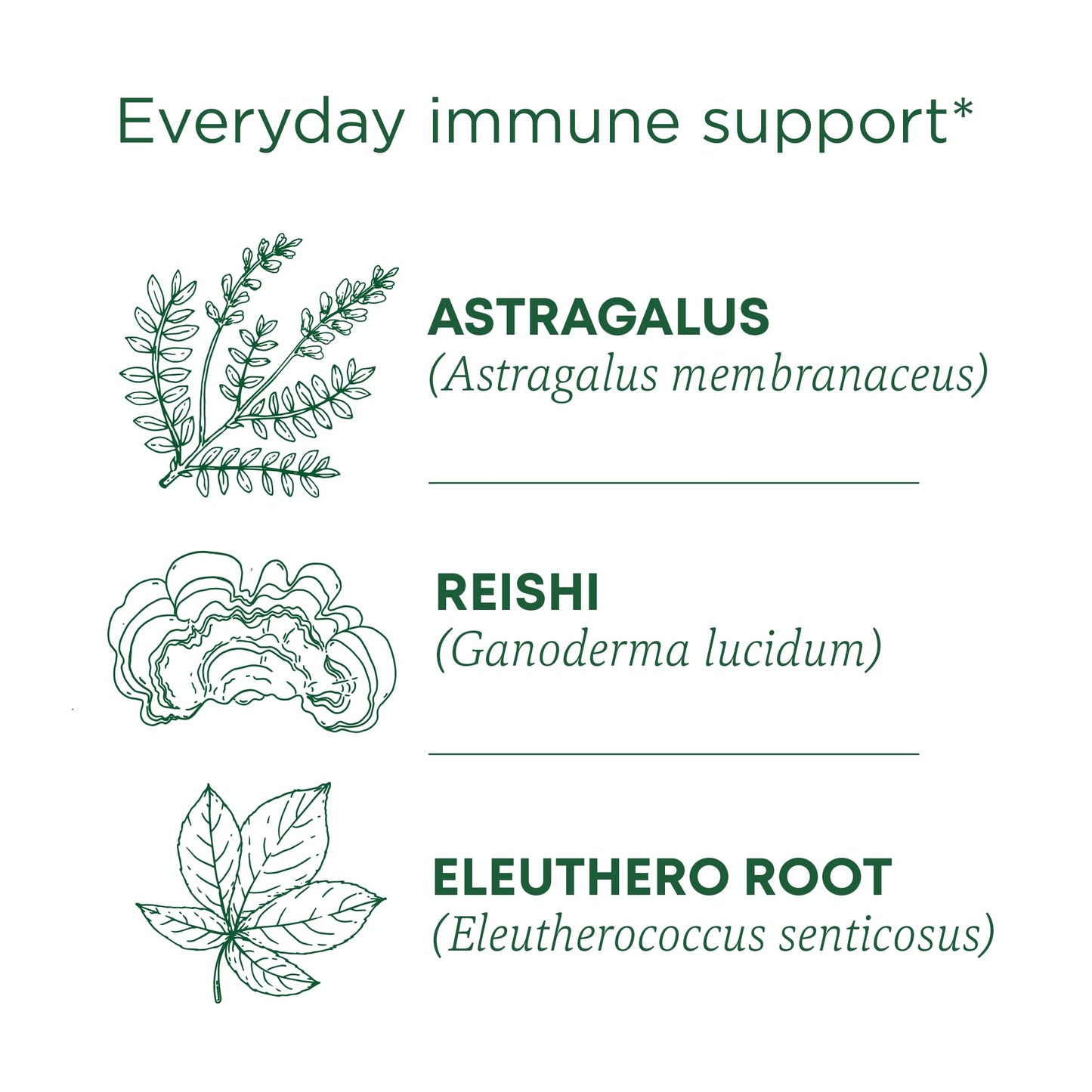 Traditional Medicinals Tea, Organic Stress Ease Immune With Adaptogens, Everyday Immune Support, Reishi Warming Spice, 16 Tea Ba