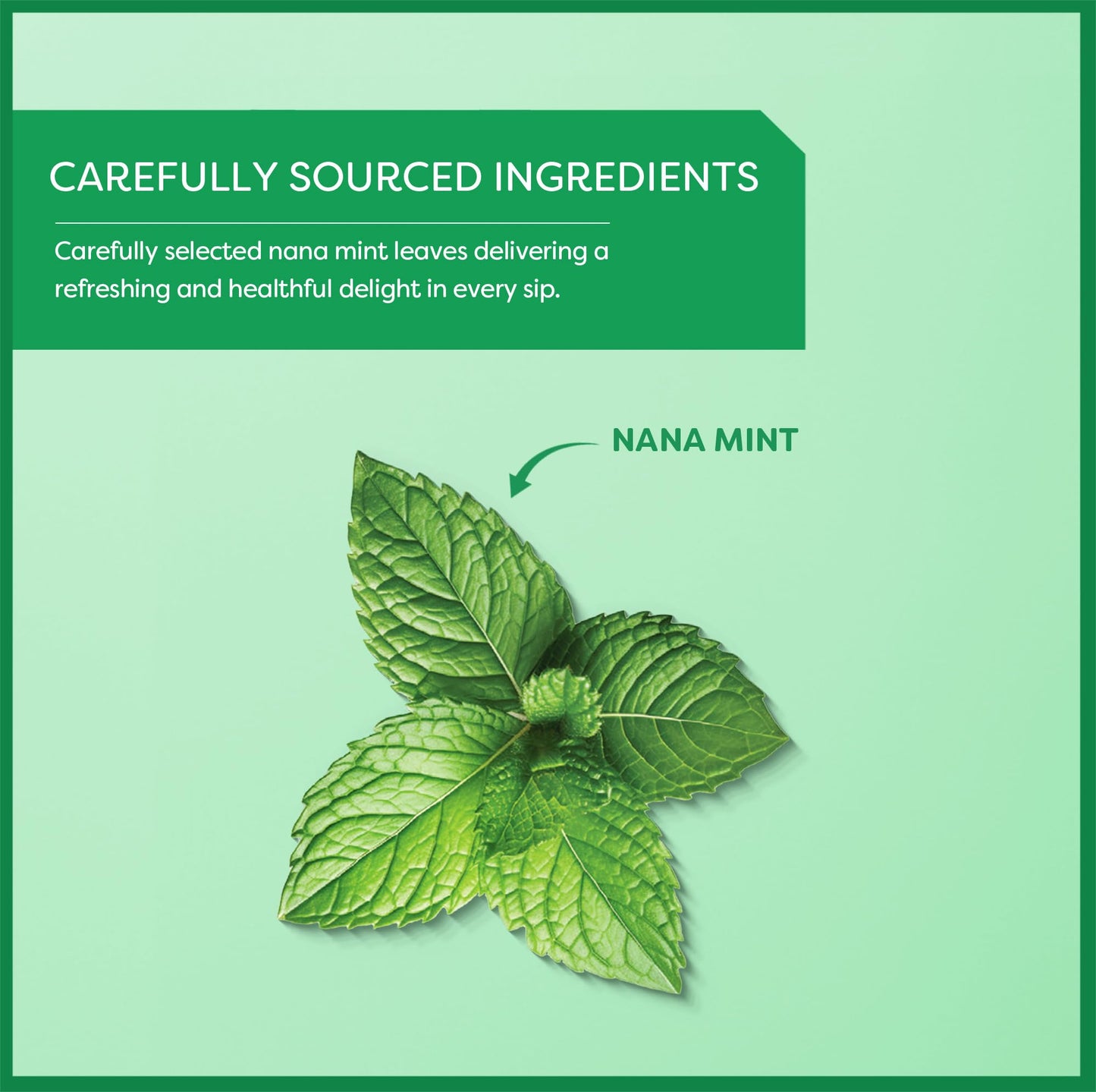 Wissotzky Tea Green Tea With Nana Mint 1.06 Oz. (3 Pack) Rich In Antioxidants, All Natural