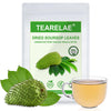 TEARELAE - Soursop Leaves Tea - 300+ Premium Soursop Graviola Dried Whole Leaves - Hojas De Guanabana - Country of Origin Thaila