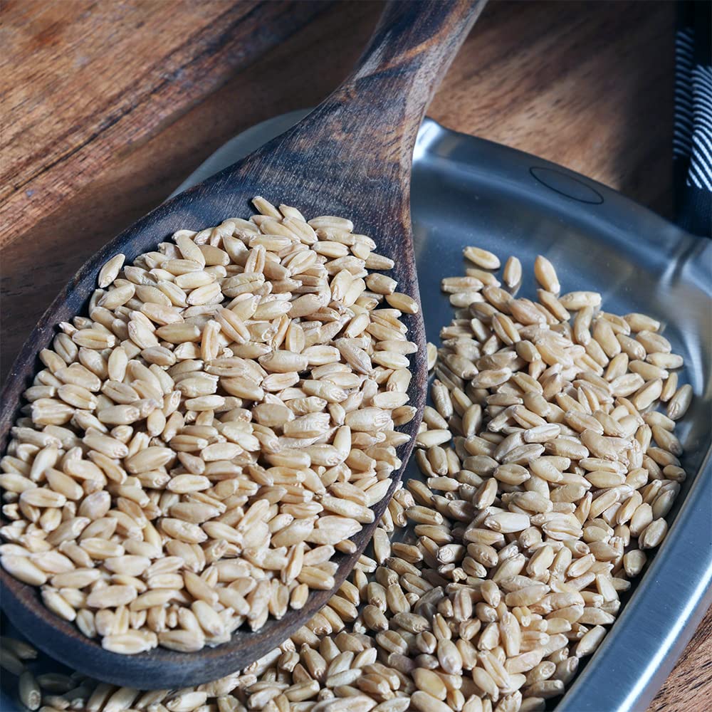 Organic Hard White Wheat Berries