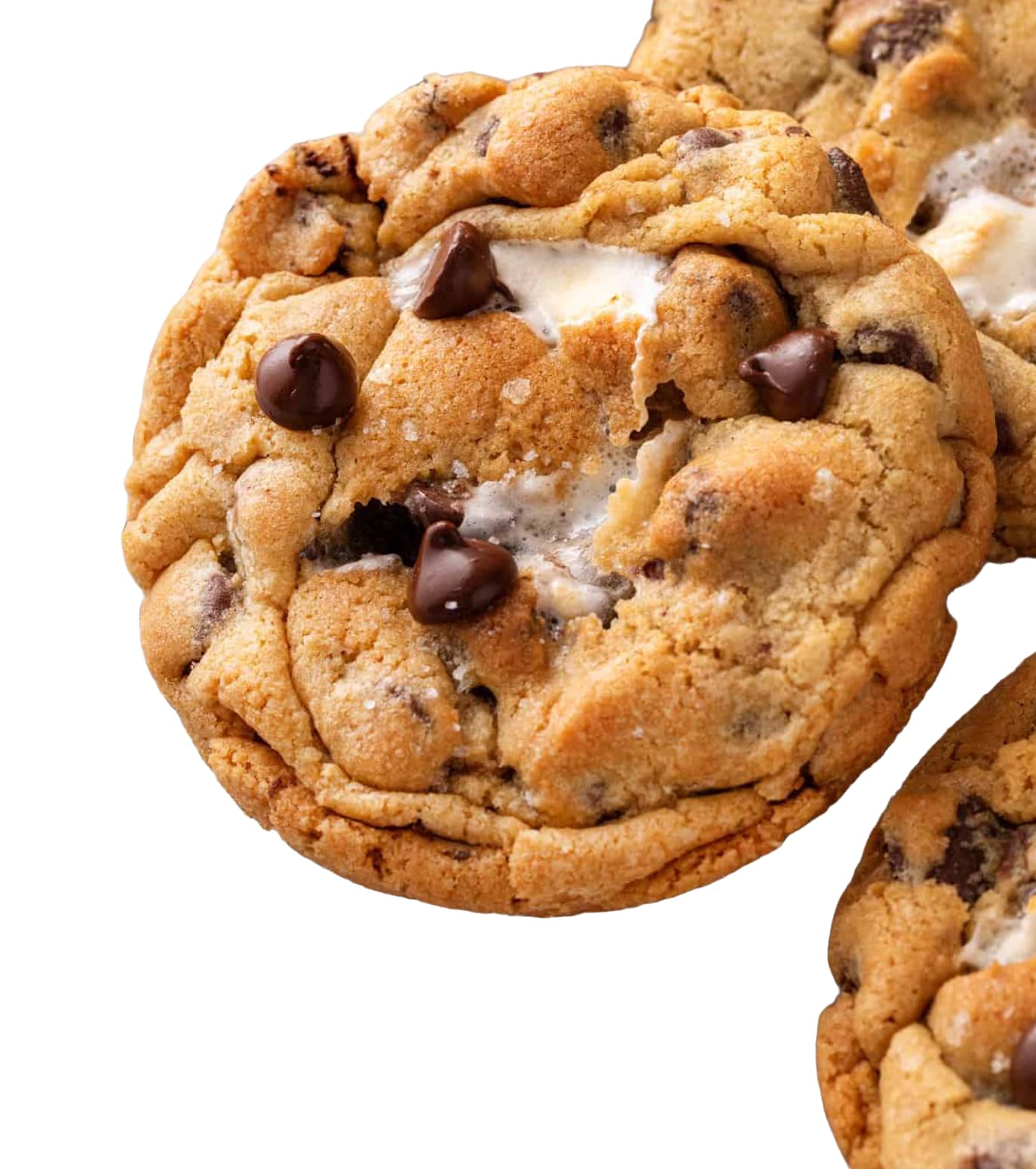 S’Mores Chocolate Chip Cookies- Chunky Soft-Baked Gourmet Cookies With Marshmallow & Chocolate, Egg-Free & Vegetarian, Holiday Dessert & Gift  , 9 Oz
