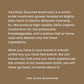 Two River Lions Mane Mushroom Broth made with organic Lions Mane and Shiitake Mushrooms, vegan plus adaptogens, perfect for si