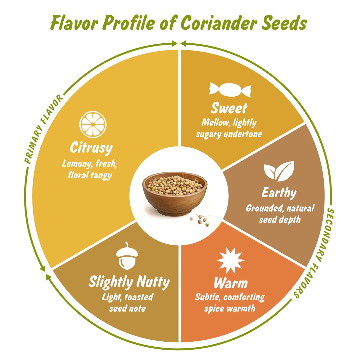 Spice Profile USDA Organic Coriander Seeds  Lab Tested for Heavy Metals  Resealable 4oz Pouch  Dhaniya  Semillas de Cilantro