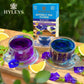 HYLEYS Butterfly Pea Flower Tea - Blue Tea with Blueberry Flavor - 25 Tea Bags - 12 Pack (300 Total)
