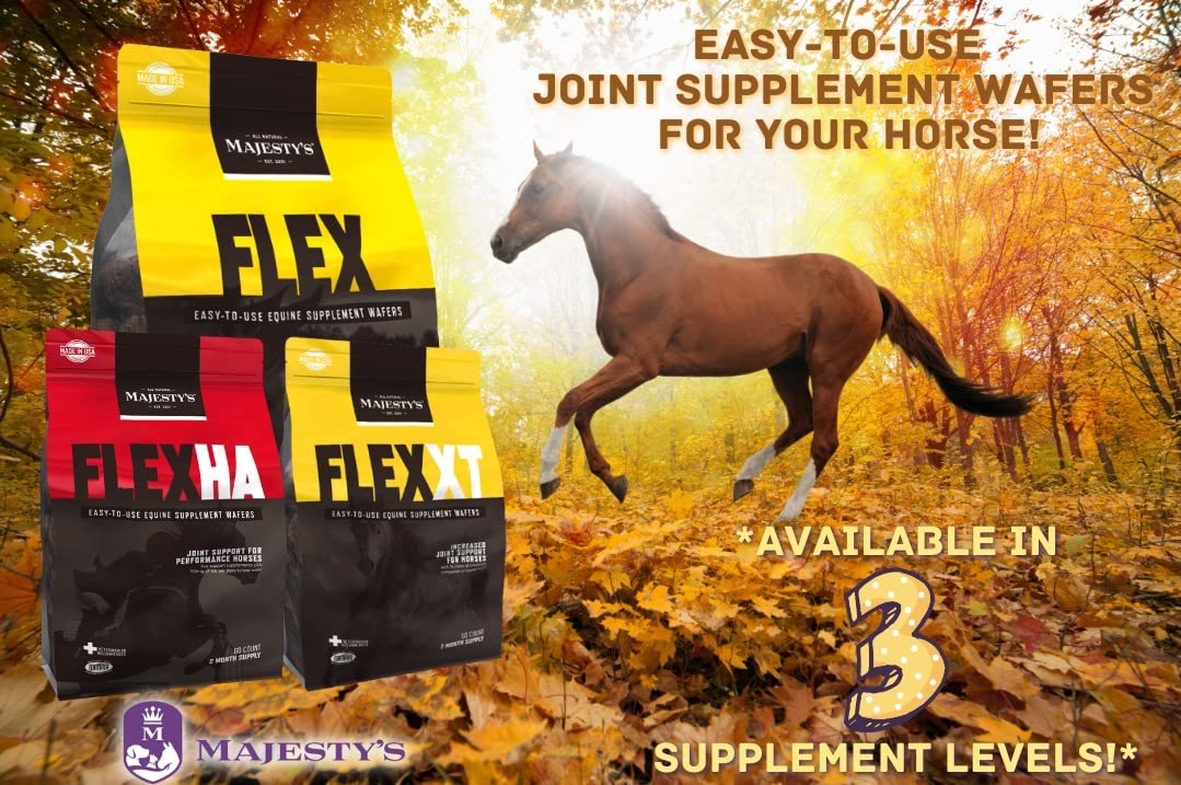 Majestys Flex Wafers - Joint Support dietary product for Horses - Glucosamine, MSM, Chondroitin - 60 Count - Peppermint Flavor