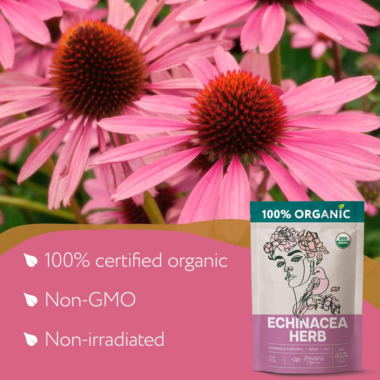 Echinacea Tea Organic (10oz.) - Echinacea Purpurea Herb Loose Leaf - Equinacea Organica - Body Defenses, Immune Support Tea