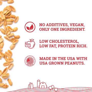 Hoosier Hill Farm Peanut Butter Powder, 1LB (Pack of 1), No Additives, 100% Peanut Powder, 8g of Protein per serving