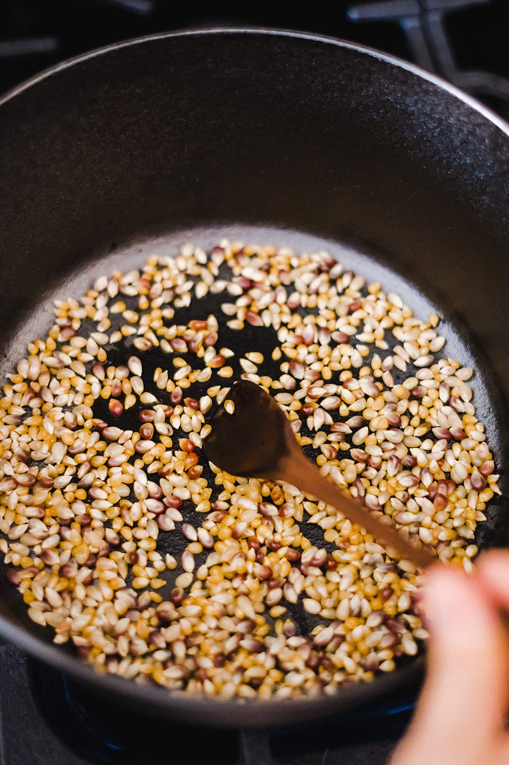 Amish Country Popcorn | Coconut Oil - 1 Gallon | Old Fashioned, Non-GMO and Gluten Free (1 Gallon)