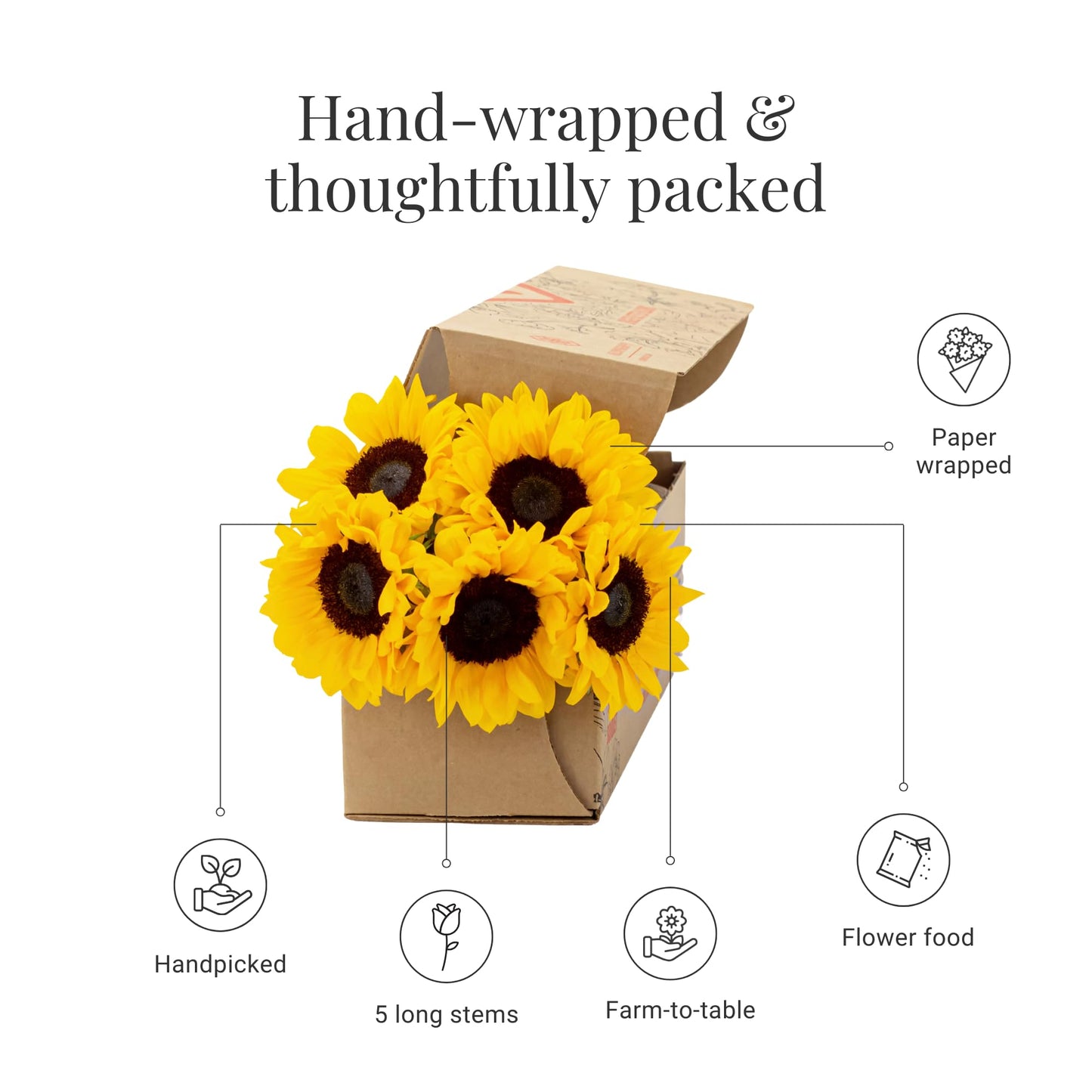 Bloomsybox : Farm-Fresh Sunflowers-Big | 5 Stems, Yellow Design, Care Card, Flower Food, Lush Greenery, Flower Delivery, Birthda
