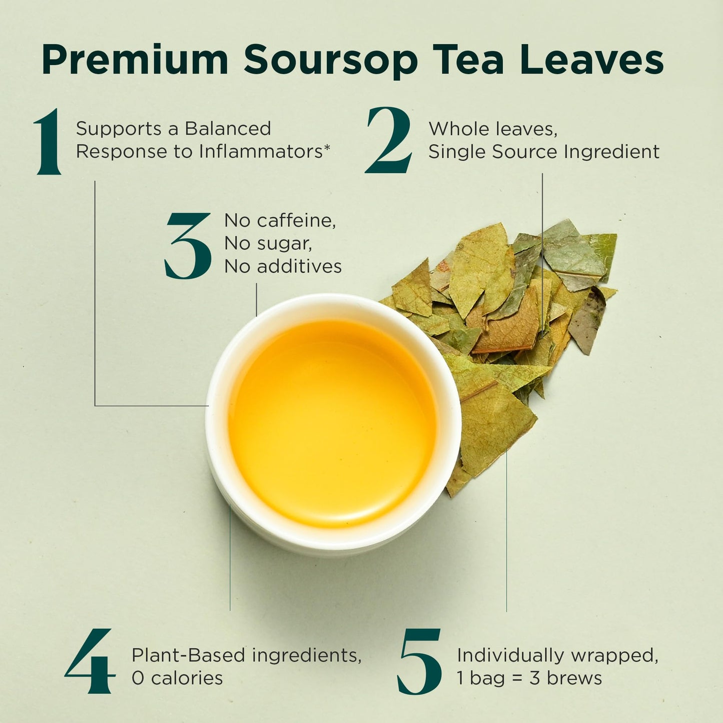 Tea Facto Herbal Tea Sampler Combo - Ginger, Chamomile, Mullein - 15 Tea Bags - Holistic Well 15 Pack