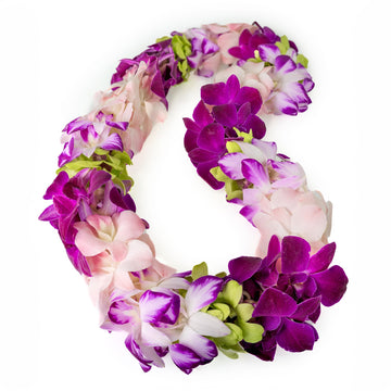 Fresh Cut Orchids Flower Leis Pink, Fresh Orchids, Gorgeous Orchids: Long-lasting leis made of fresh cut orchids, for graduation