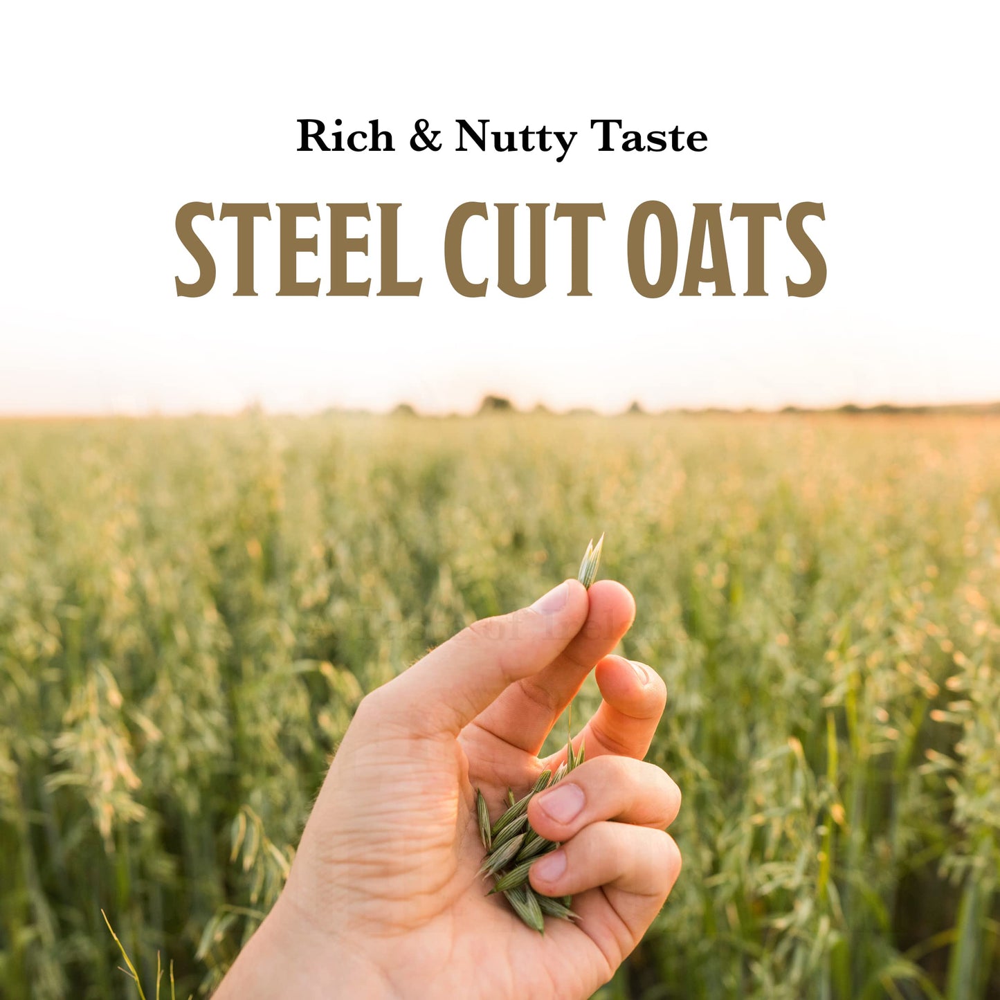 McCanns Irish Oatmeal, Traditional Steel Cut Oats, 28 Ounce