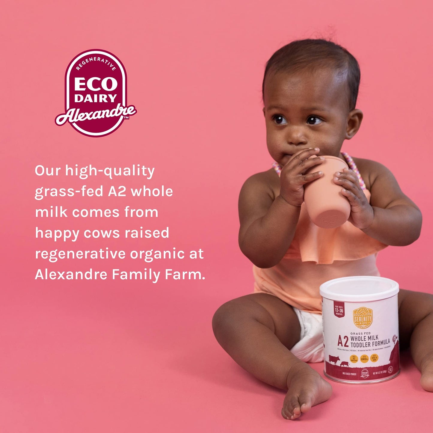 Serenity Kids 12+ Toddler Formula Powder Drink Made W/Grass Fed A2 Powdered Milk - Easy To Digest Ingredient - Clean Label Proje