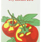 Mutti Double Concentrated Tomato Paste (Doppio Concentrato), 4.5 oz. Tube | 6 Pack | Italys #1 Brand of Tomatoes | Tube Tomato P