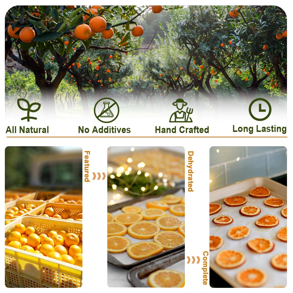 Fraunitsh 17.63Oz/500G Dried Dehydrated Orange Slices | 130+ Slices | No Sugar & No Additives | Dried Oranges For Cocktails Garn