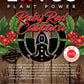 Lotus Plant Power Ruby Red Cascara Energy Drink Concentrate, Natural Caffeine, 64 fl oz, Pure Cane Sugar