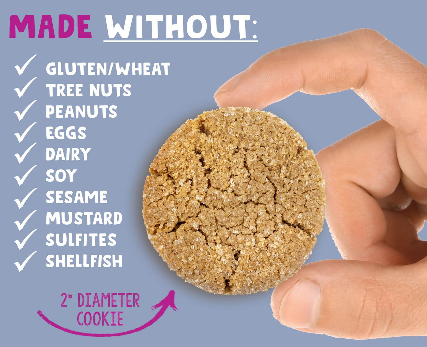 Allergy Smart Crunchy Vegan Cookies - Gluten Free, Nut Free, Egg Free, Soy Free, Dairy Free - 10 (1oz) 2 Packs