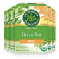Traditional Medicinals Organic Green Tea with Ginger, 96 Tea Bags, Pack of 6