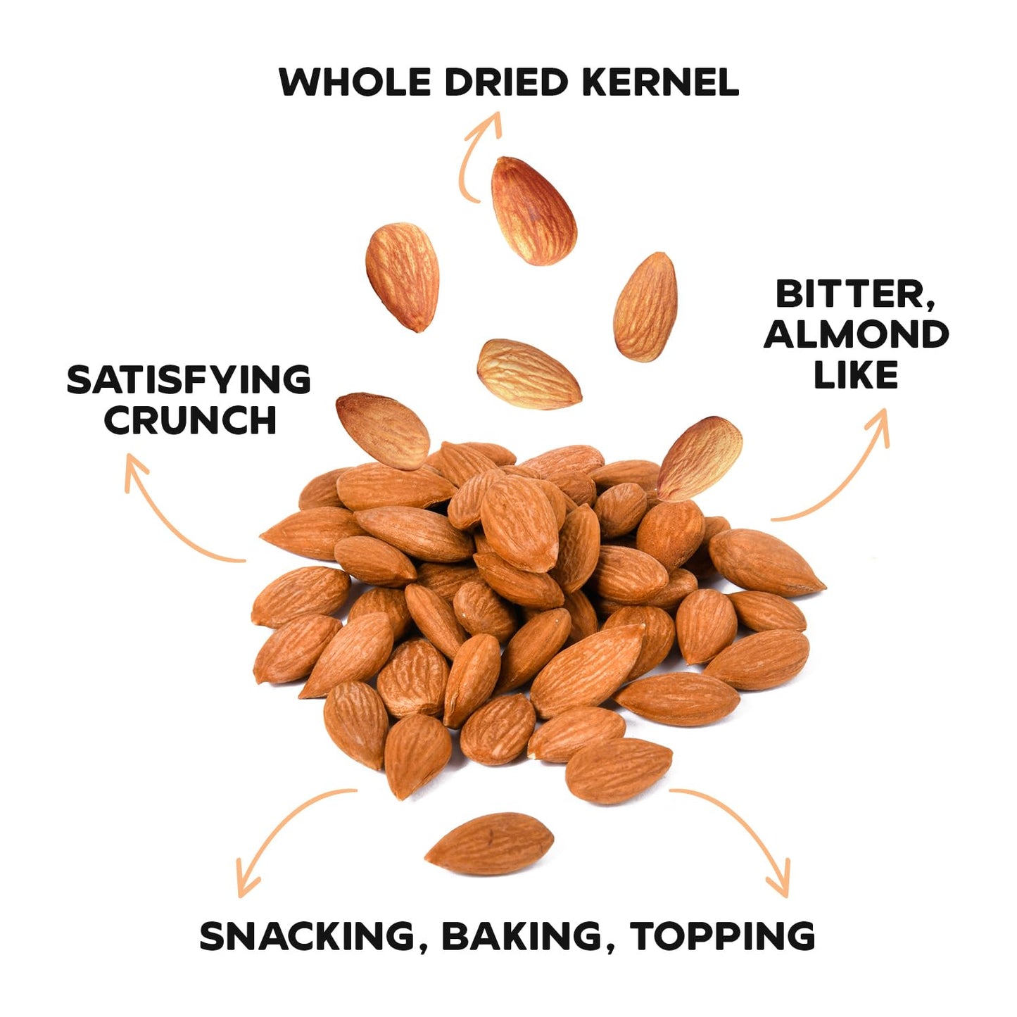 Drybox Bitter Apricot Kernels, Raw, Organic, Non-GMO, Vegan, 16 oz Resealable Bag