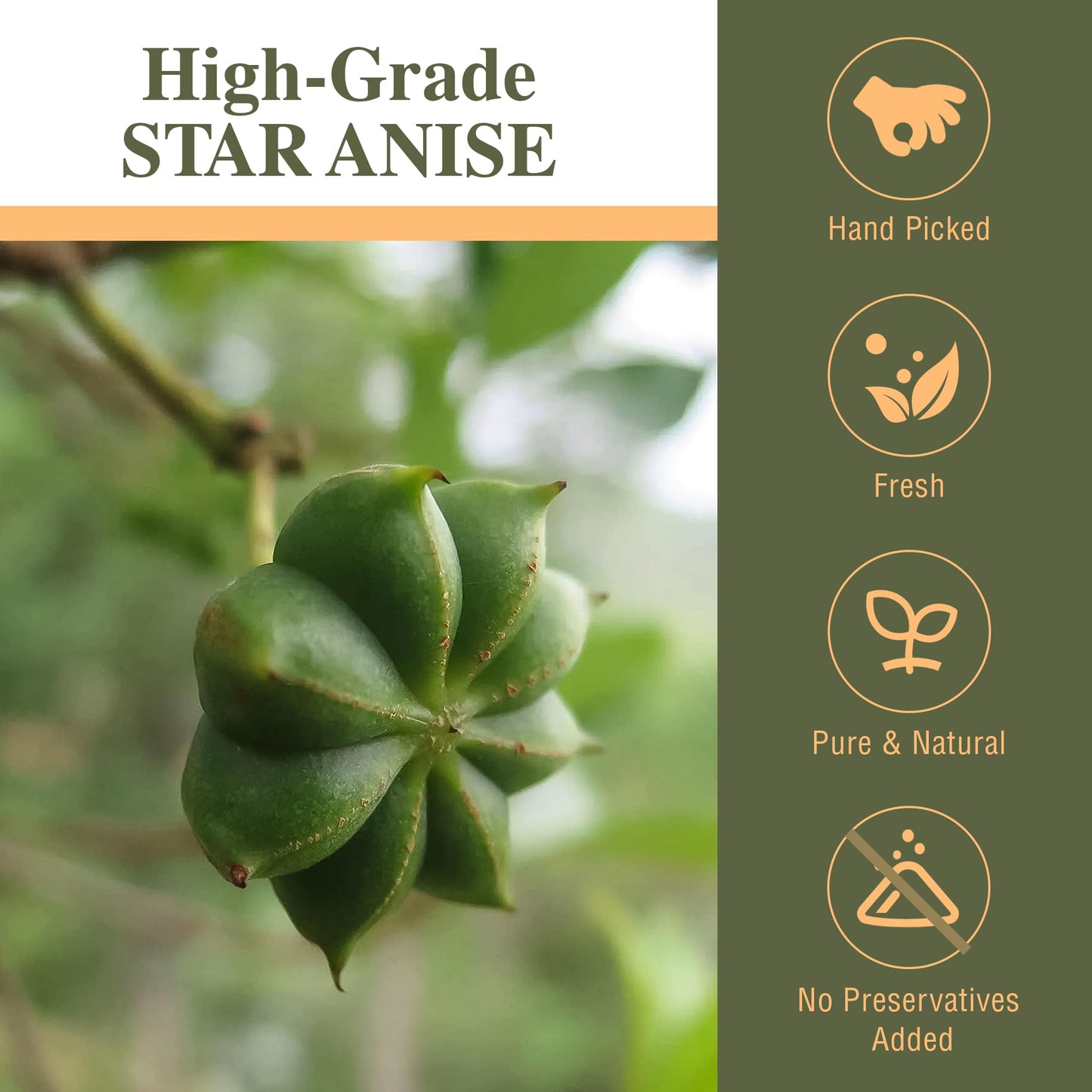 Kah'S Journey Star Anise - Star Anise Whole 16 Oz, Chinese Star Anise Pods For Cooking, Baking, Or Brewing Tea, Dried Star Anise