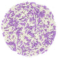 Mystic Sprinkles Jimmy Mixes (Lilac And Lace Jimmy Mix 3Oz)