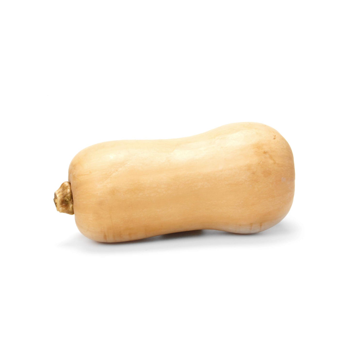 Organic Butternut Squash, 1 Each