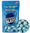 Bliss Life Blue Raspberry Blast Freeze Dried Berry Fruit Candy from TikTok, ASMR Crunchy Candy, Spicy Sweet and Sour Kids Snacks