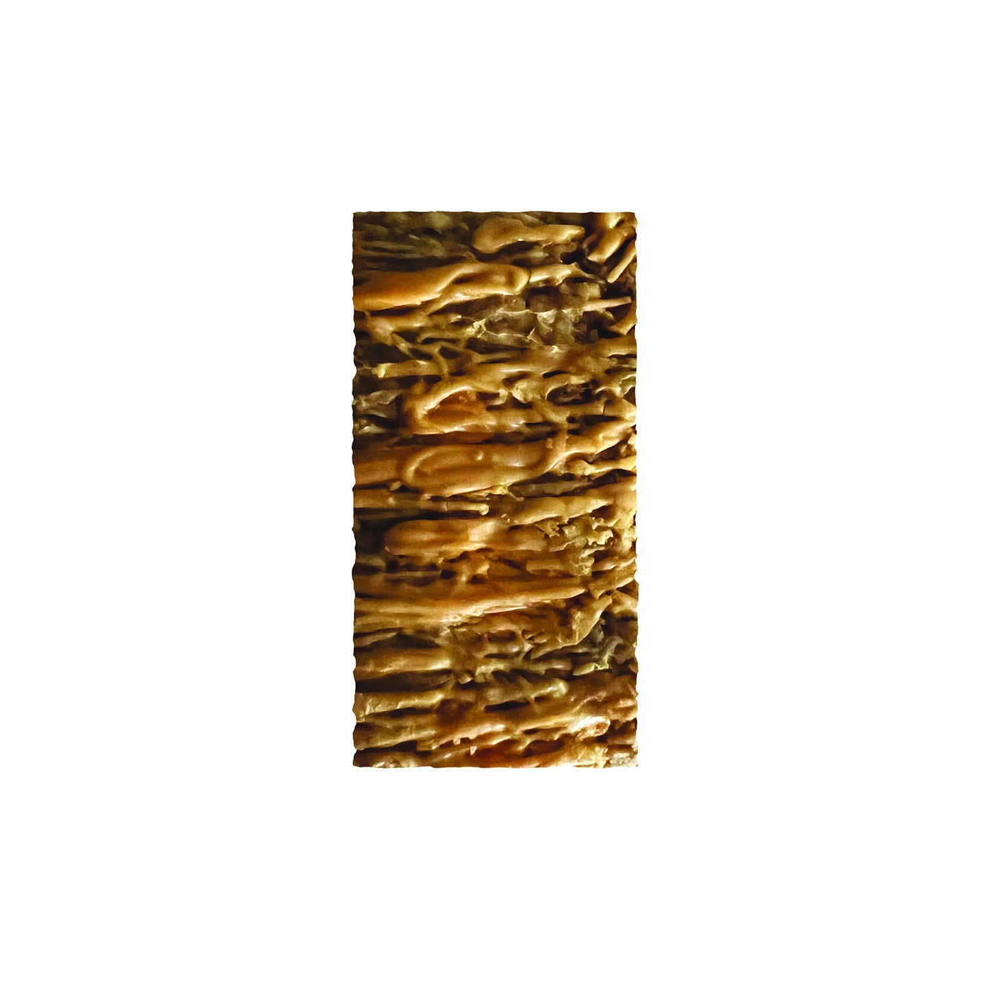 Jimmybar! - Sea Salt Caramel Cookies N Cream - 19G High Protein Bars - 7G Sugar - 12 Count - 58G Health Bars - Natural Peanut Butter Core - Caffeinated Protein Bar For Energy- Hand Drizzled Chocolate