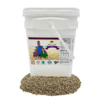 Rye Berries, 20Lb Bucket With Mylar And Oxygen Absorber, Non Gmo, No Glyphosate Residue, Lab Verified Chemical Free, Enhanced Packaging 25 Year Shelf Life, Kosher, Utahs Own, Great For Baking And Brewing, High Trust / Employee Owned Seller