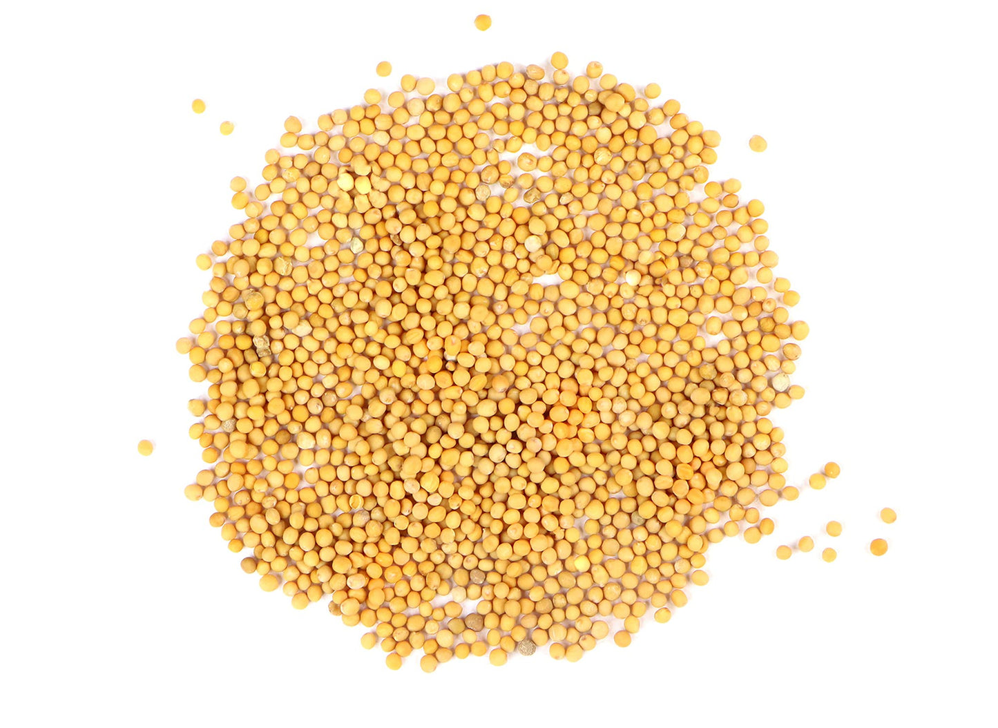 Fruidles Yellow Mustard Seeds, Add Aroma, Flavor, And Seasoning To Every Dish, Kosher Certified, 10 Oz (Yellow Mustard Seeds)