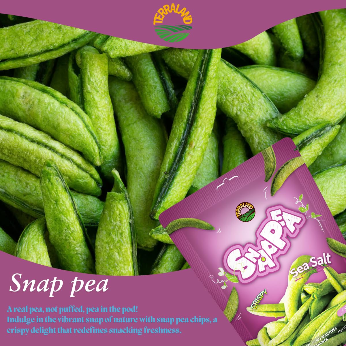 Terraland Snap Pea Crispy Crisps-Sea Salt, Crispy & Crunch, Vegan, Idea For Snacking Or Pairing With Salad And Cereal 1.5Oz Bag