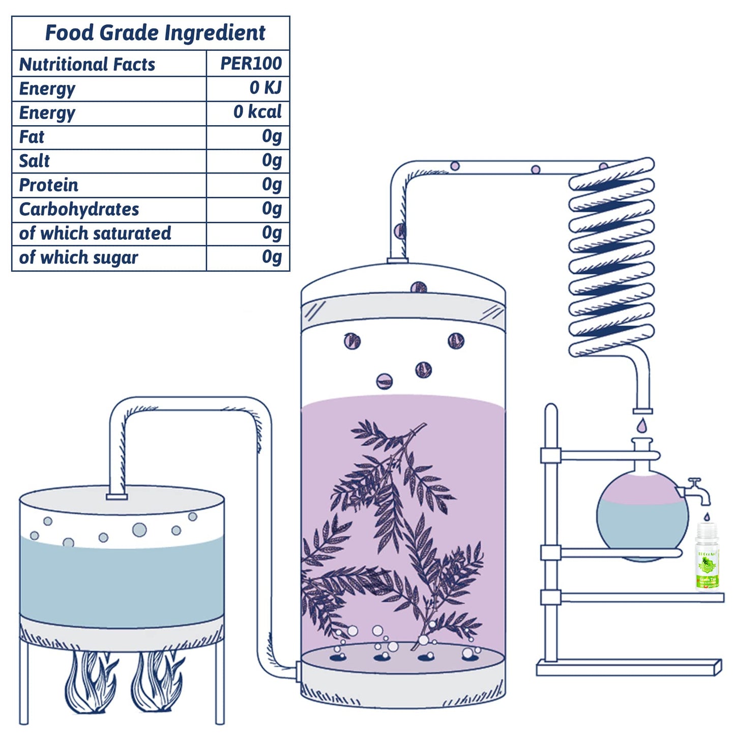 Food Flavoring Oil - 12 Liquid Lip Gloss Flavoring Oil, Concentrated Candy Flavoring, Flavor Oil For Baking, Cooking, Slime Maki