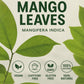 Mango Dried Leaf Tea (Hojas de Mango secas) - Jumbo 4 oz Loose Leaf Herbal Tea - 100% Natural  Vegan  Non-GMO  Caffeine-Free - Traditional Herbal Infusion for Wellness & Relaxation - by BexpertsUSA