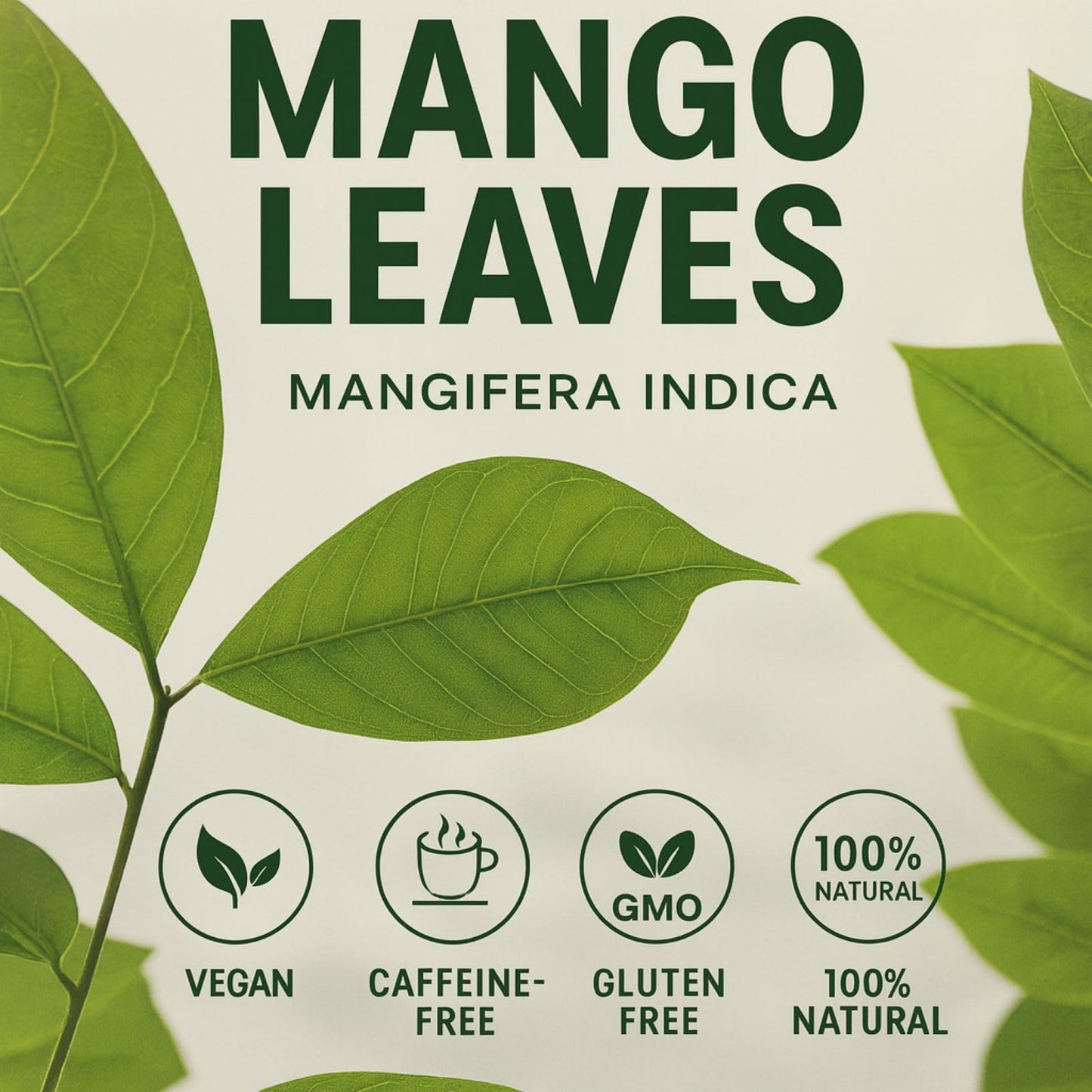 Mango Dried Leaf Tea (Hojas de Mango secas) - Jumbo 4 oz Loose Leaf Herbal Tea - 100% Natural  Vegan  Non-GMO  Caffeine-Free - Traditional Herbal Infusion for Wellness & Relaxation - by BexpertsUSA