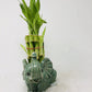 Elephant Round Vase With 10 Stalks 6'' Lucky Bamboo