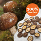 Onetang Organic Natural Dried Mushrooms - Premium Flavors |Aaa Grade Extra Dry Mushrooms For Soups, Sauces, Pasta And Risotto, R