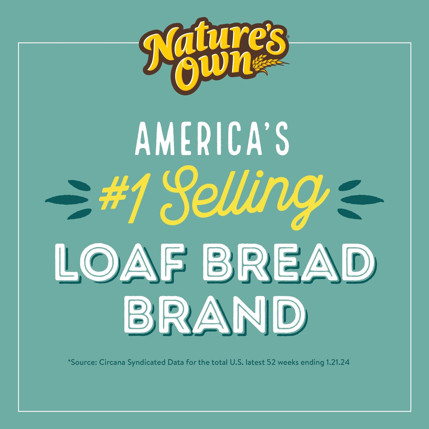Natures Own 100% Whole Wheat  Whole Wheat Bread  20 oz Loaf