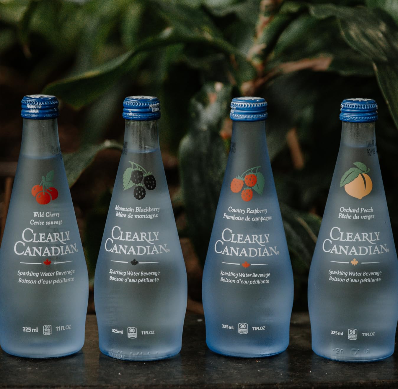 Clearly Canadian Sparkling Flavored Water (4 Flavor Sampler, 12 Pack Variety)