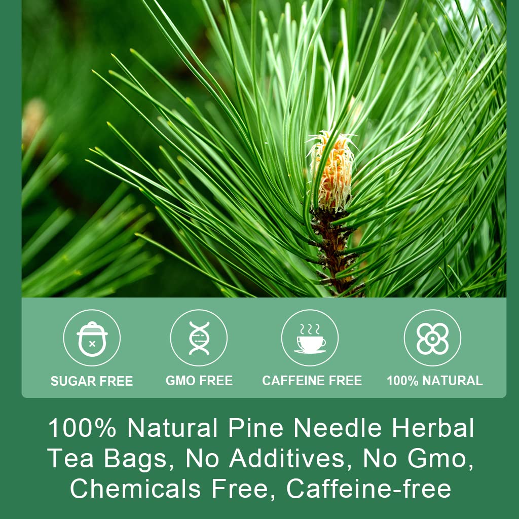 WOGORGT Pine Needle Tea Bags - Organic Herbal Tea, Caffeine Free, 20 Bags, 2.11 Ounce
